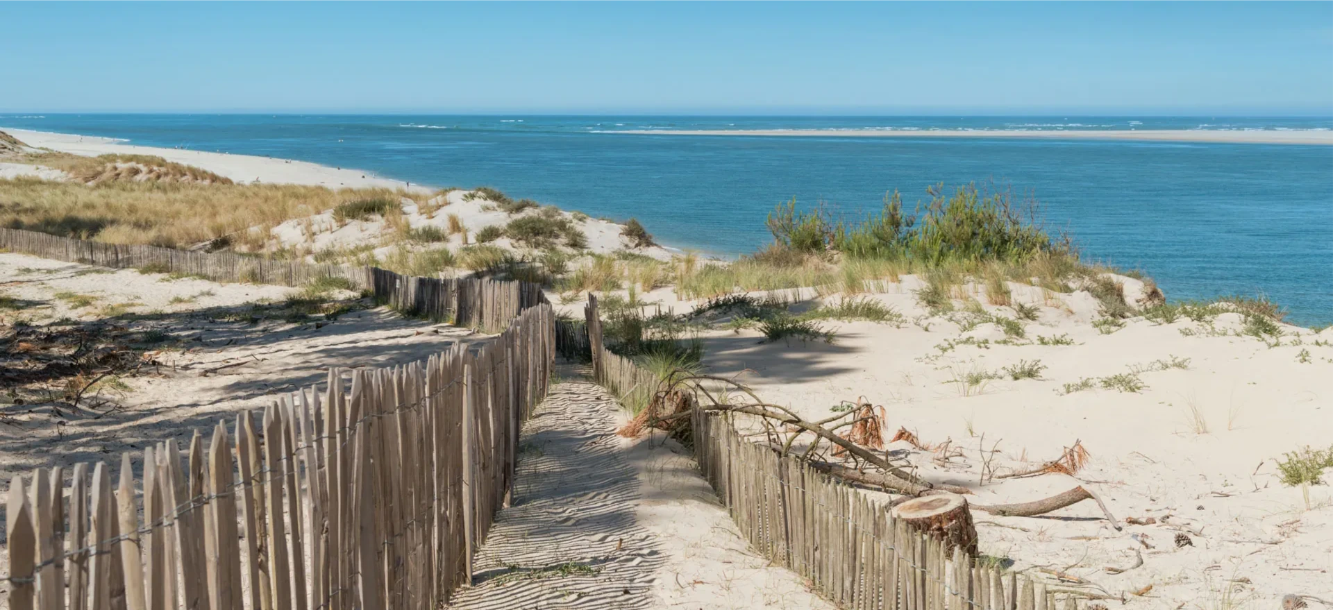 Bassin d'Arcachon 